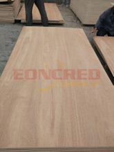 1220*2440mm Good Quality Fancy Plywood Wall